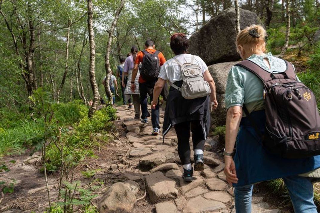 Kalorienverbrauch beim Wandern berechnen