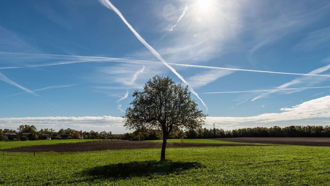 Die Kondensstreifen von Flugzeugen zählen zu den menschgemachten Wolken.