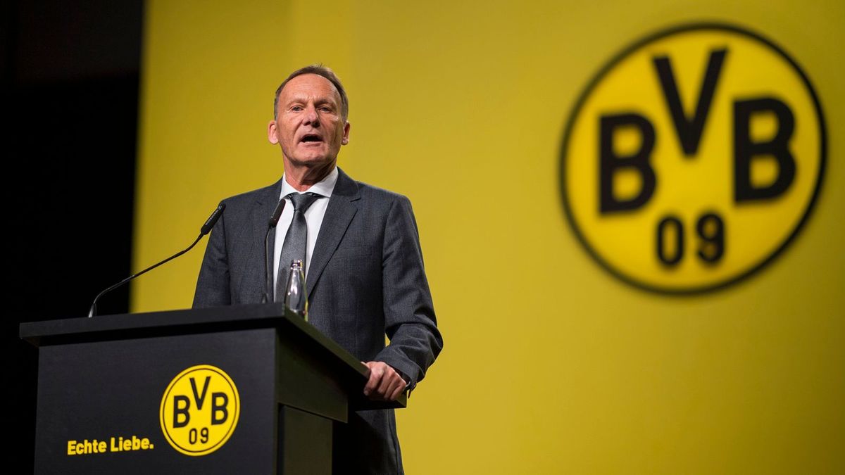 BVB 2 Sponsoren