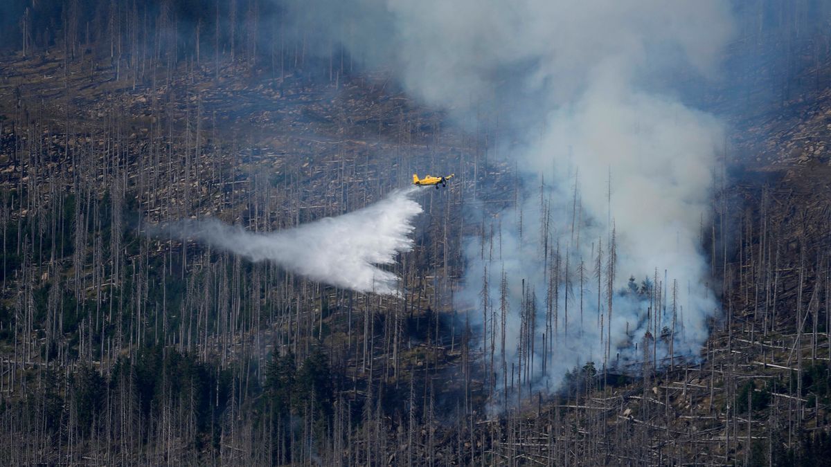 Germany Wildfire