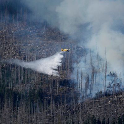 Germany Wildfire