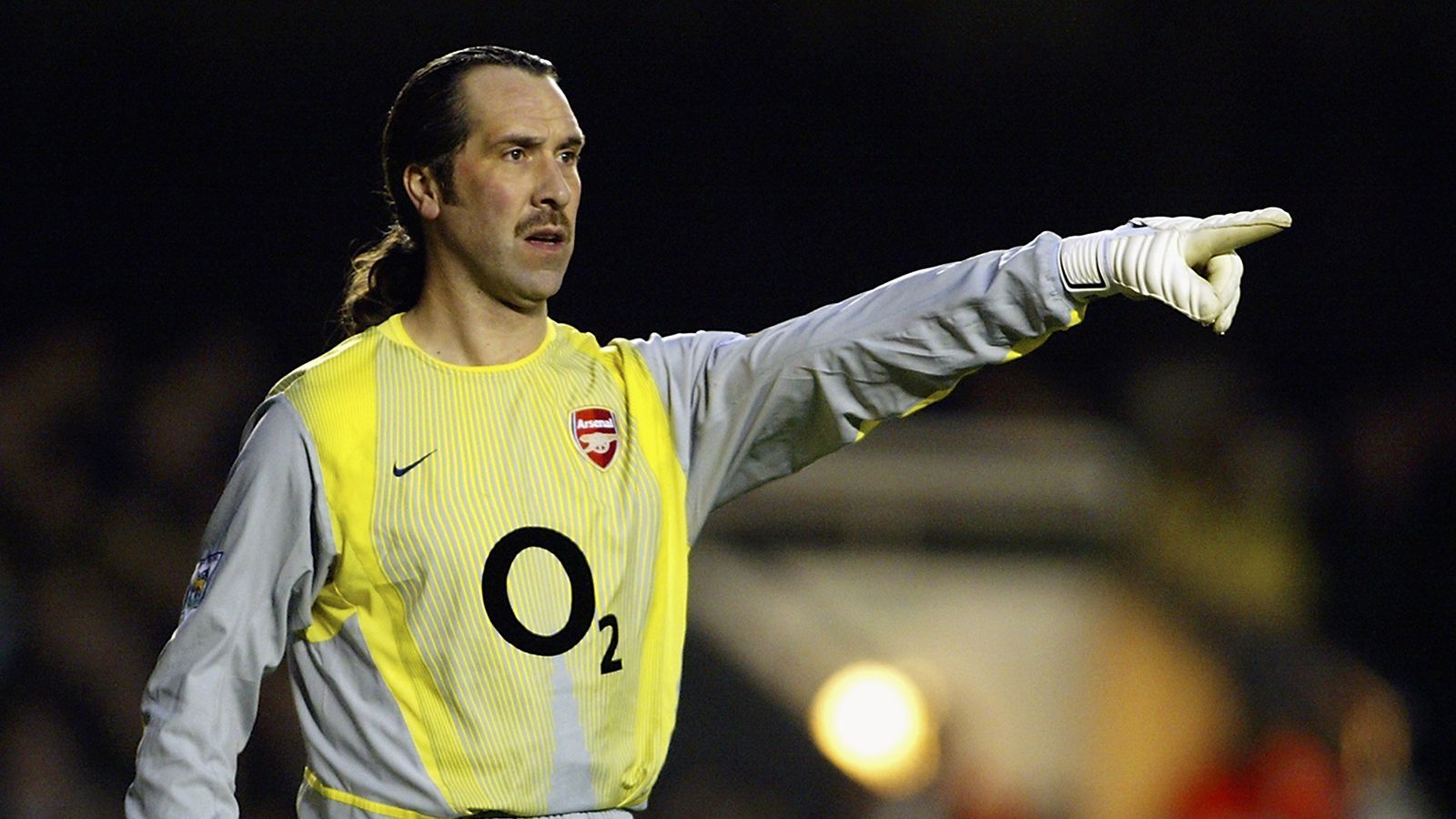 
                <strong>David Seaman</strong><br>
                Der langjährige Schlussmann des FC Arsenal kugelte sich die Schulter aus. Allerdings nicht bei einer seiner Glanzparaden, sondern beim Angeln. 
              