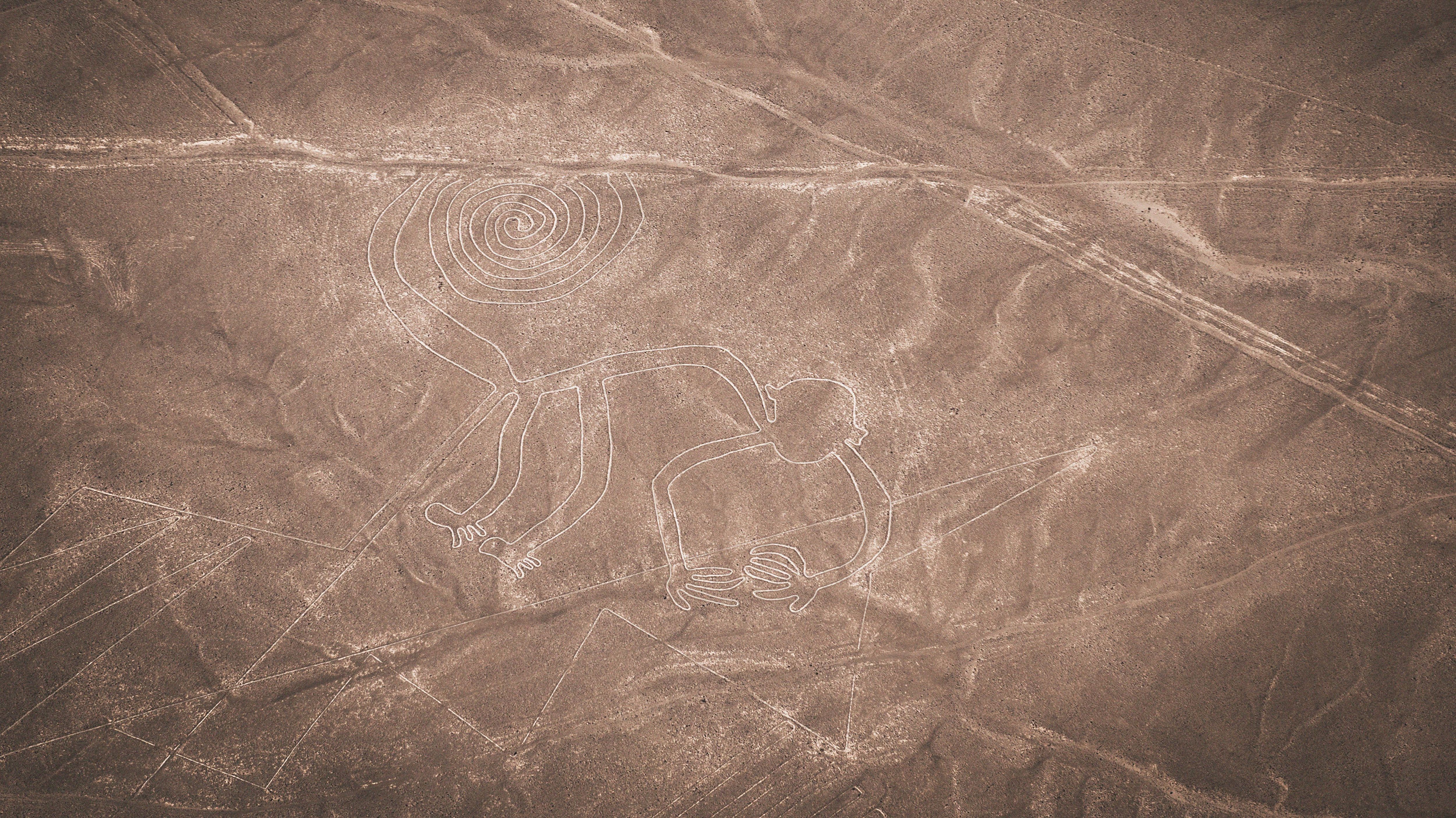 Die Figuren wurden erst erkannt, als in den 20er-Jahren öfter Flugzeuge über die Wüste flogen. Der Affe mit seinem gerollten Schwanz misst gut 60 Meter.