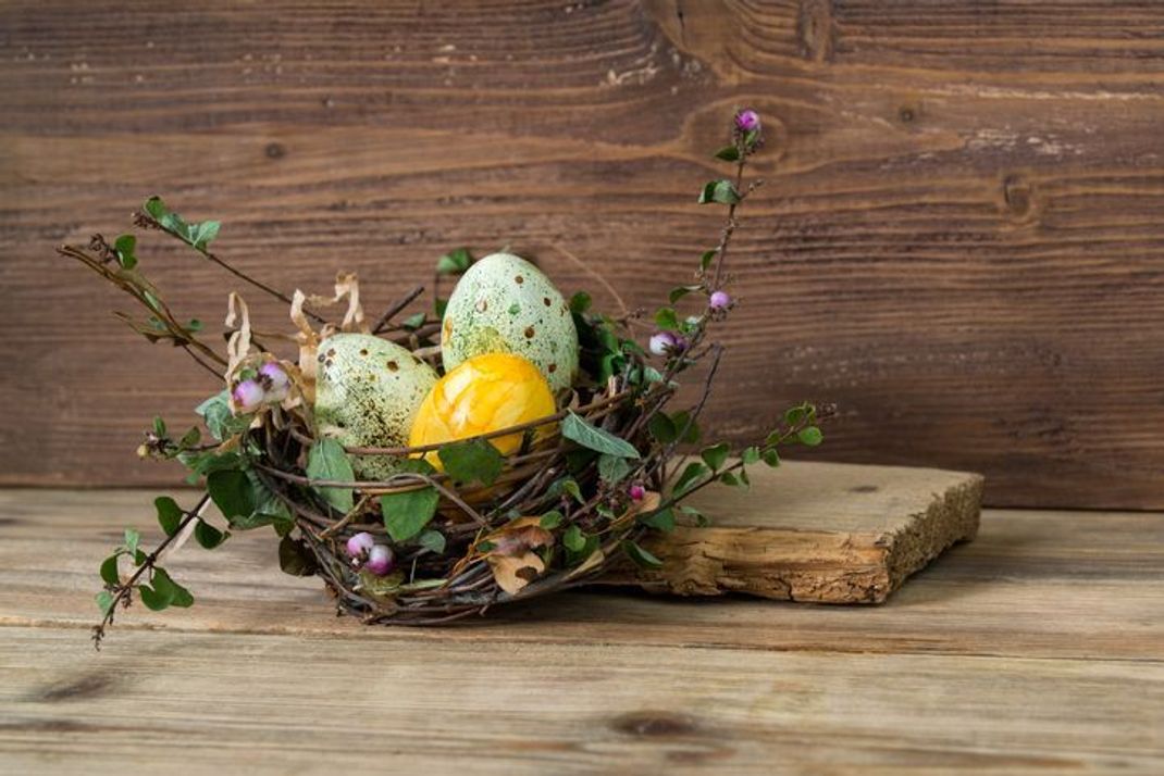 Schnell gemacht und ganz natürlich - Osternest aus Blütenzweigen