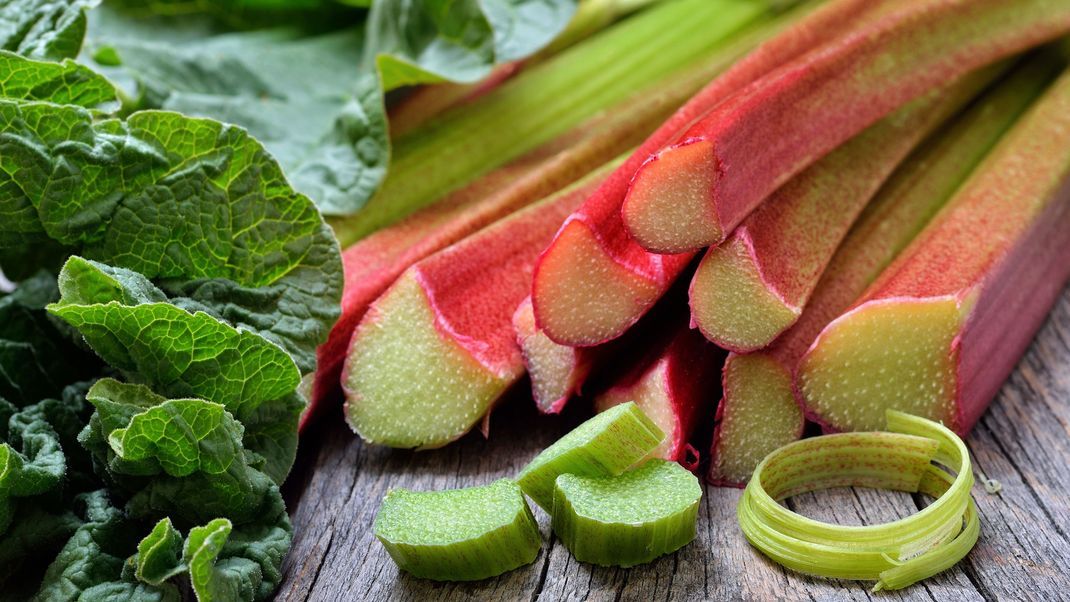 Spannende Fakten rund um das beliebte Gemüse Rhabarber: Das solltest du wissen!