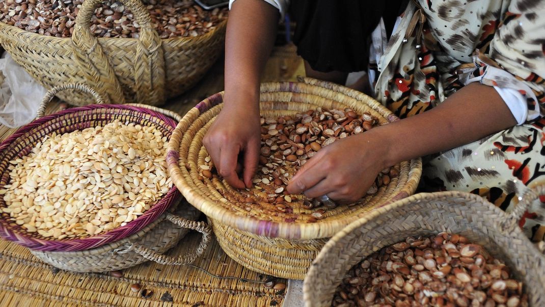 Hier siehst du Argan-Kerne, auch „Argan-Nüsse“ genannt. Echte Nüsse sind das botanisch gesehen nicht, doch der Name „Nuss“ hat sich eingebürgert.