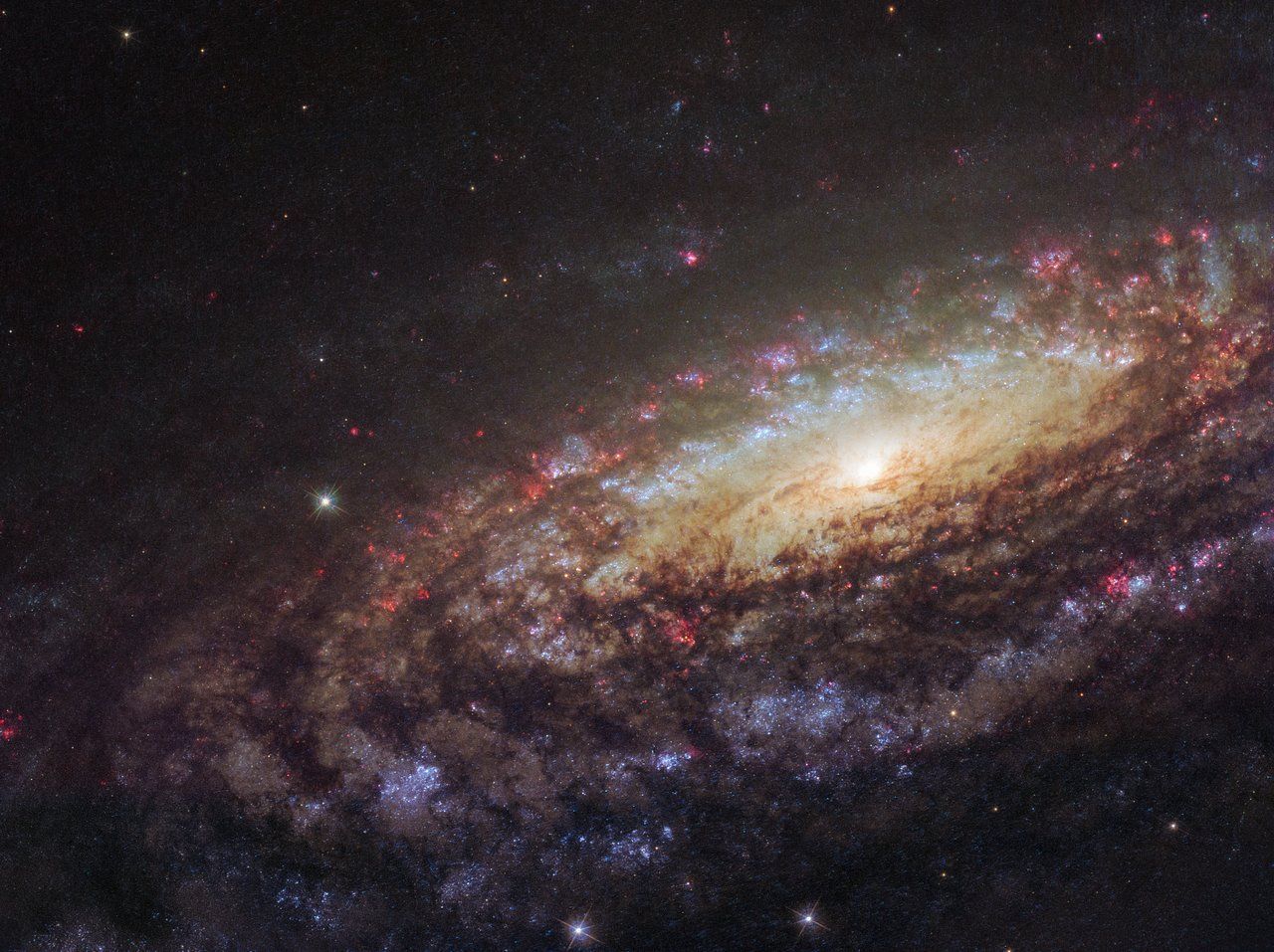 Oh, du schöne Spiralgalaxie “NGC 7331“! Schon im Jahr 1784 vom Galaxienjäger William Herschel entdeckt, funkelst du noch immer so schön an unserem Nachthimmel.