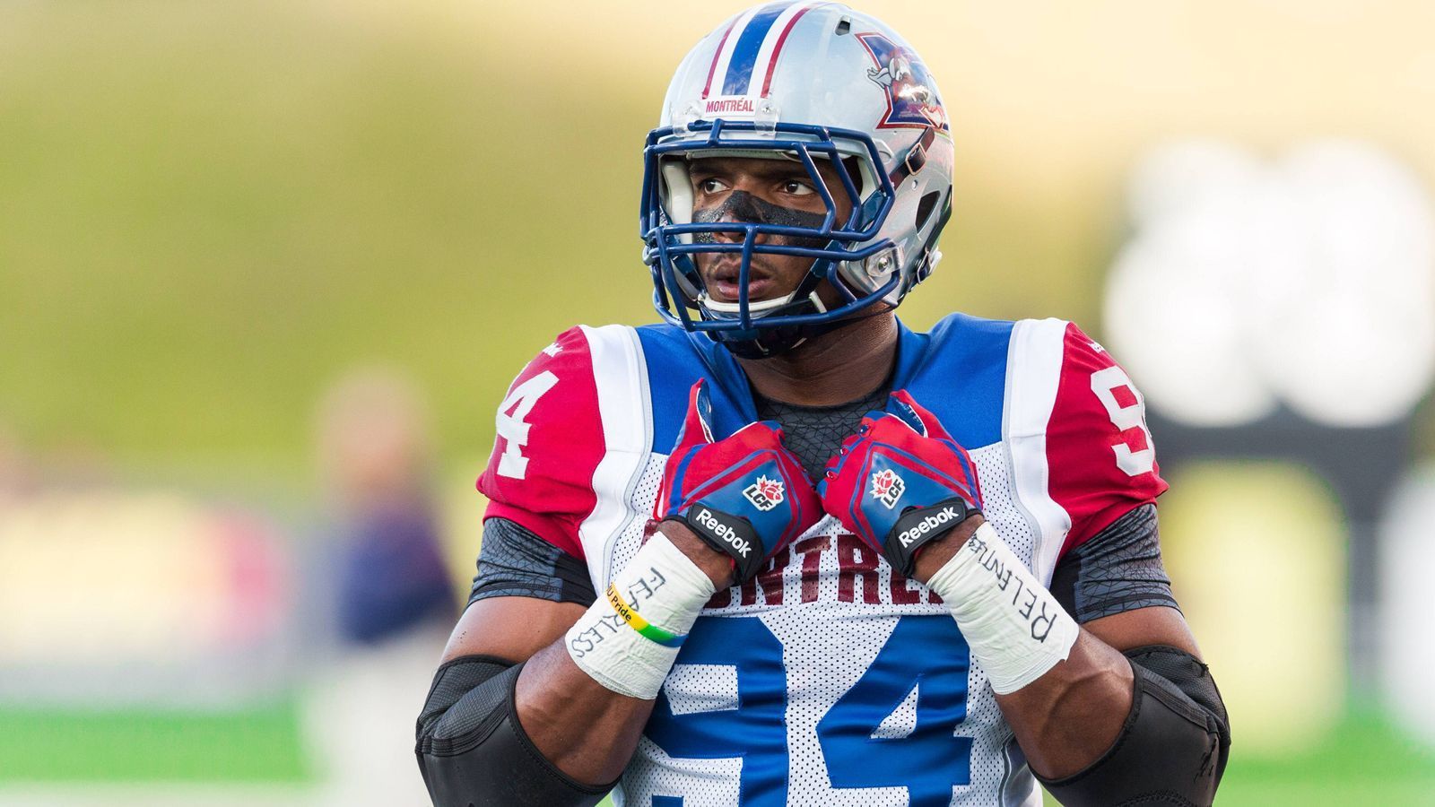 
                <strong>Michael Sam (Assistant Defensive Line Coach, Barcelona Dragons)</strong><br>
                Im Februar 2014, kurz vor dem NFL Scouting Combine, bekannte sich Michael Sam zu seiner Homosexualität und löste damit ein weltweites Medienecho aus. Die St. Louis Rams wählten den Defensive End beim NFL Draft an Position 249 aus. Er wurde dadurch der erste öffentlich homosexuelle, aktive Profi der NFL. Selbst der damalige US-Präsident Barack Obama beglückwünschte ihn dafür. Sam schaffte es allerdings weder bei den Rams noch danach bei den Dallas Cowboys in den aktiven Kader, spielte stattdessen lediglich für die Montreal Alouettes in der Canadian Football League. Nun verstärkt er das Trainerteam in Barcelona.
              