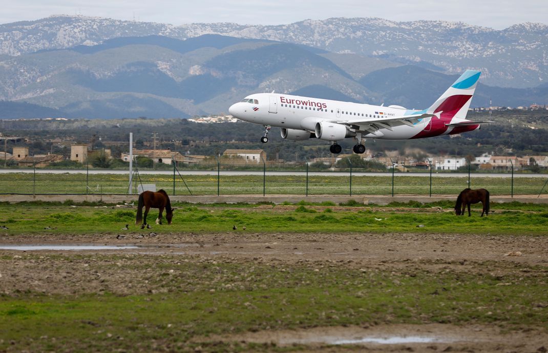 Ein Flugzeug von Eurowings landet am Flughafen von Palma de Mallorca.