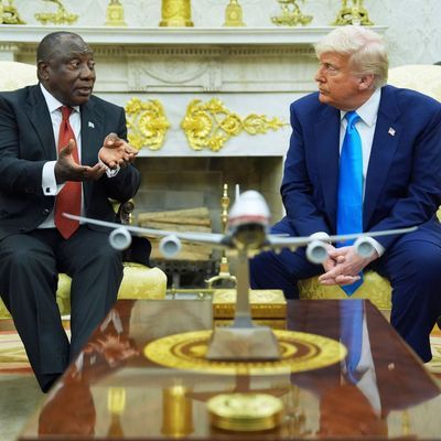 Südafrikas Präsident Ramaphosa in Washington