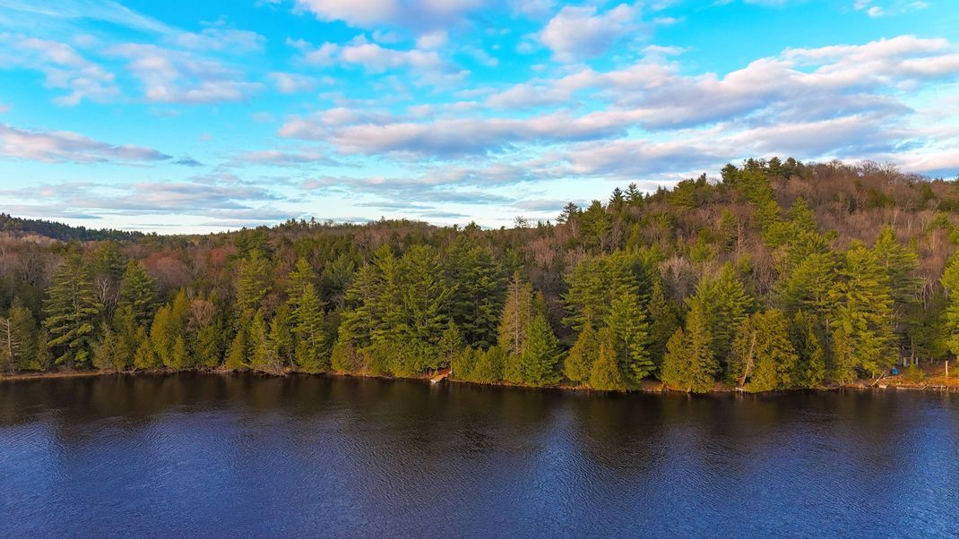 Ein See mit einem Pinienwald - das ist ein typisches Bild in Kanada.