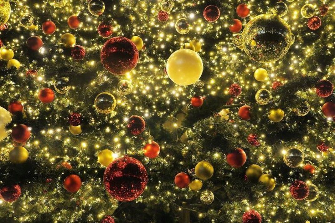 Weihnachtsbaum: Erschreckender Test und ökologische Alternativen
