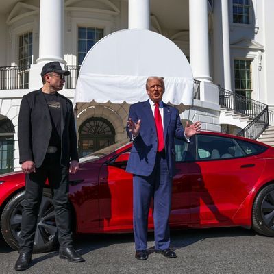 US-Präsident Donald Trump (r) und Tesla-CEO Elon Musk 
