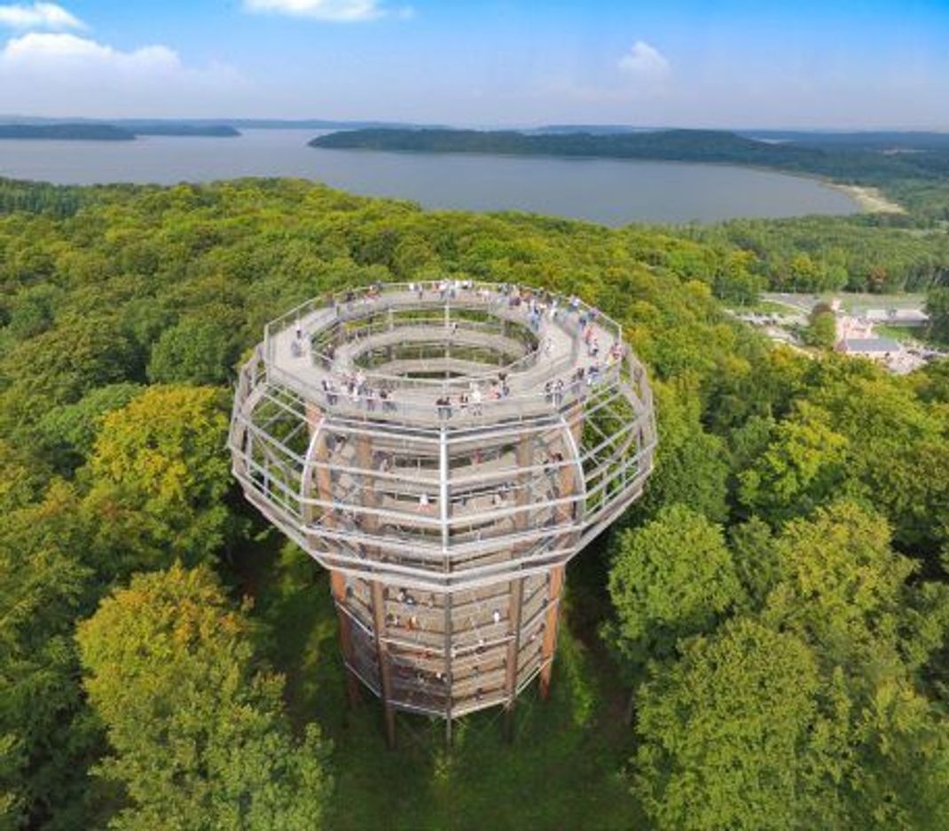 Hochgefühle erleben: Dieser Turm auf der Insel Rügen bietet Weitblicke über das Waldgebiet bei Prora.
