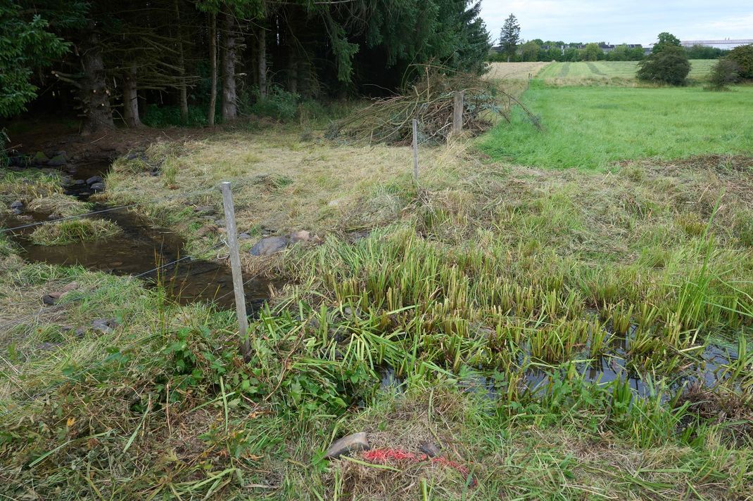 Auf einem Feld nahe Weitefeld wurde die Leiche des Dreifachmörders gefunden.