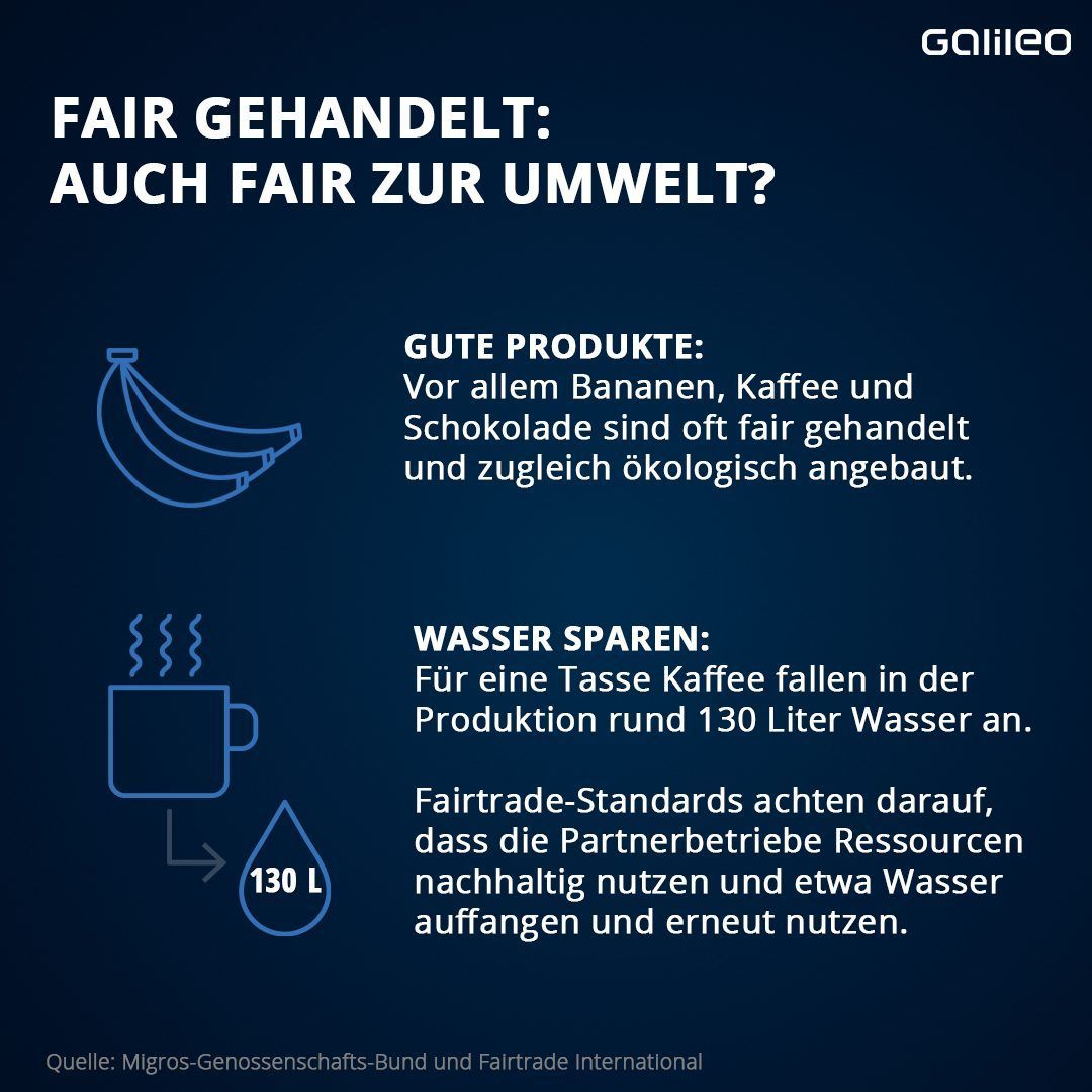 Die Umweltbilanz von Fair Trade.