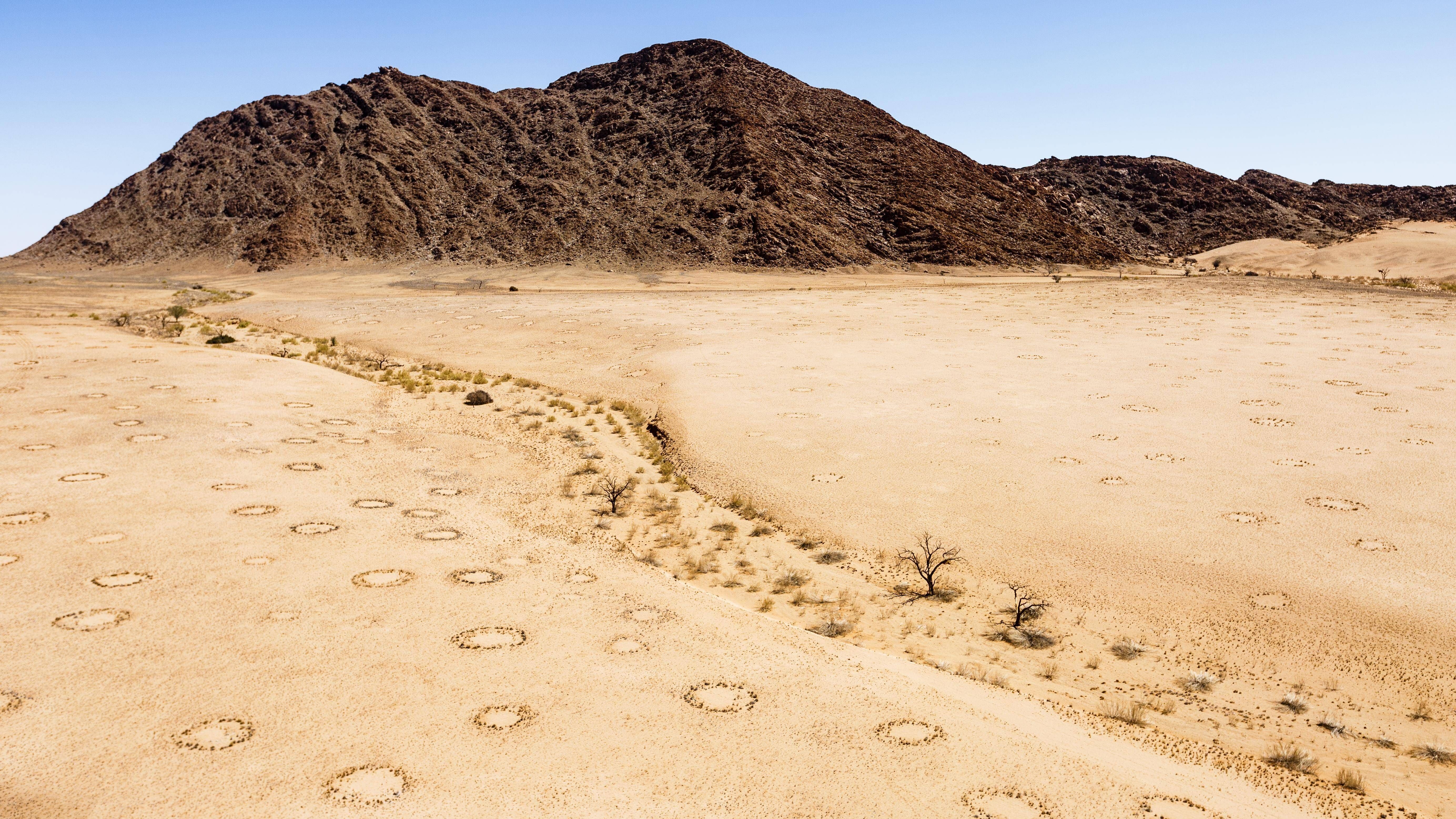 In der Namibwüste in Afrika zeigen sich die mysteriösen Feenkreise tausendfach.