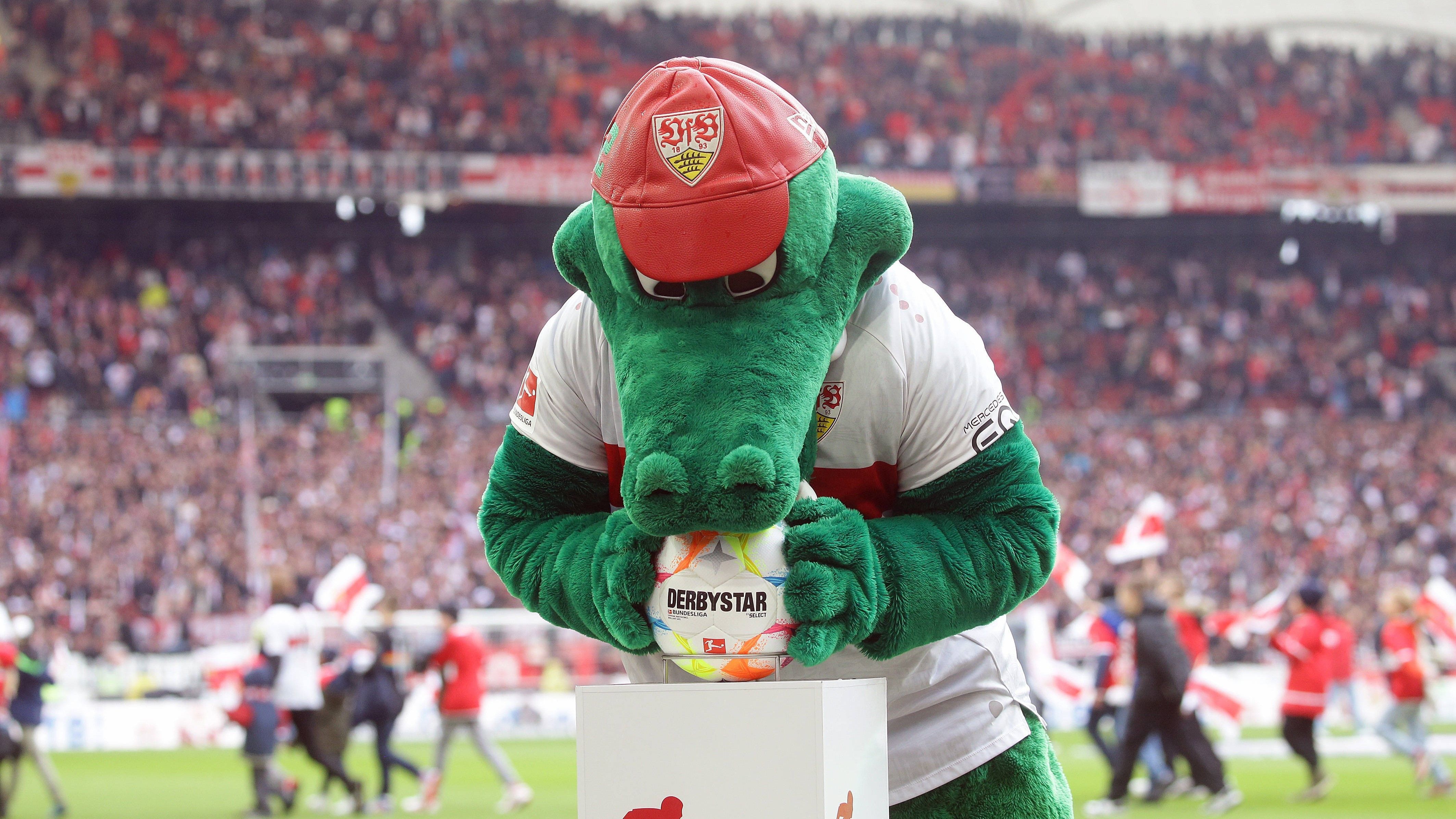 
                <strong>VfB Stuttgart</strong><br>
                In der baden-württembergischen Hauptstadt geht es zwar manchmal zu wie im Haifischbecken (schwieriges Umfeld), doch Stuttgart Alligators sticht alle anderen Vorschläge aus, weil das Maskottchen Fritzle einfach zu sympathisch ist. 
              