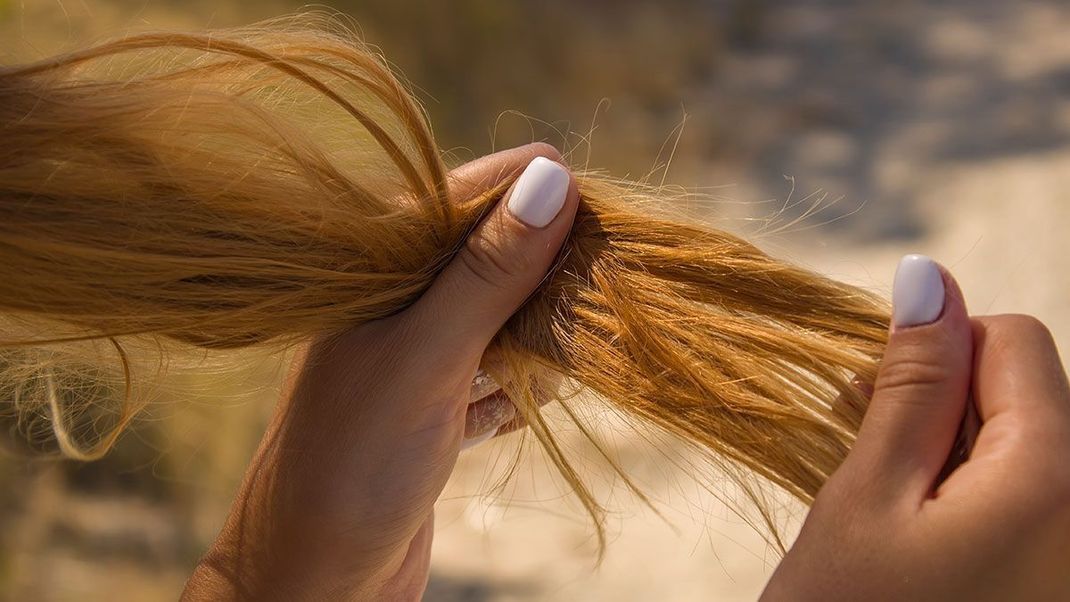 Spliss und Schuppen vorbeugen – warum du Apfelessig in deine Haarpflege-Routine einbauen solltest, verraten wir dir hier.