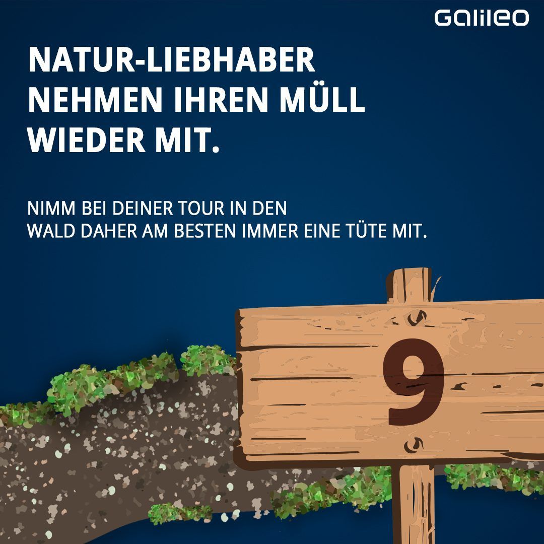 Wie sollte man sich im Wald verhalten? Was darf man, was darf man nicht?