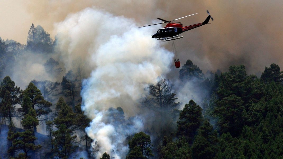 Erneuter Waldbrand auf Teneriffa