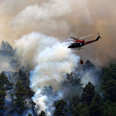 Erneuter Waldbrand auf Teneriffa