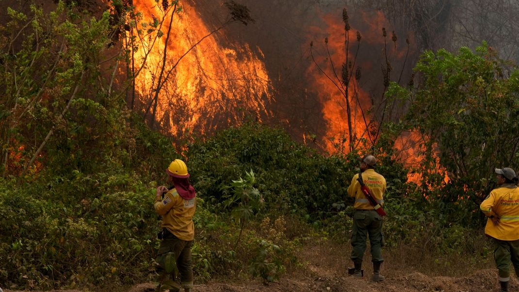 Feuerwehrleute kämpfen seit Monaten gegen die Flammen in Bolivien.