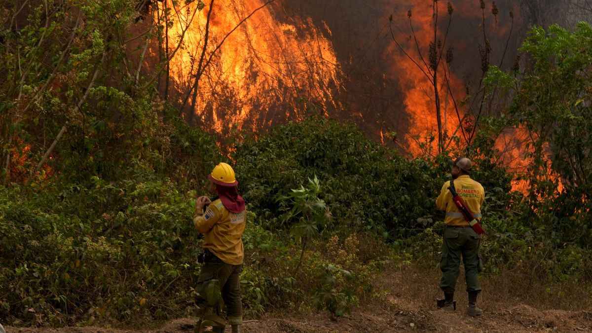 Brandfläche in Bolivien größer als Portugal