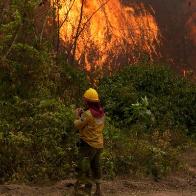 Brandfläche in Bolivien größer als Portugal