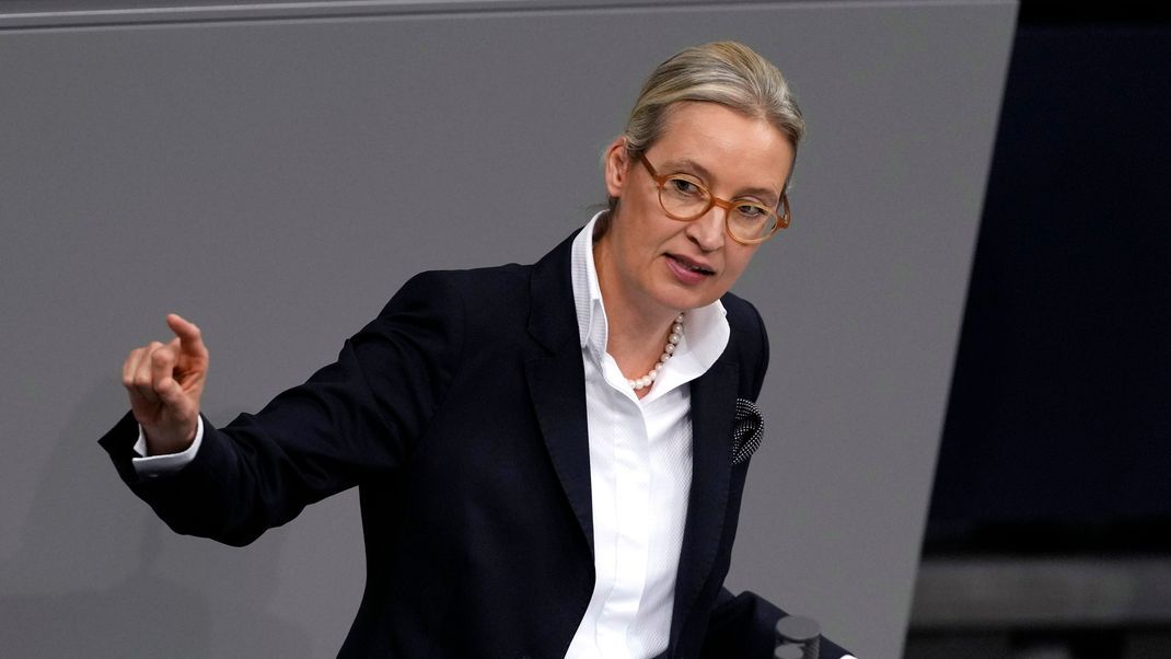 Die erste Kanzlerkandidatin der AfD, Alice Weidel, fordert einen "Minimalstaat".