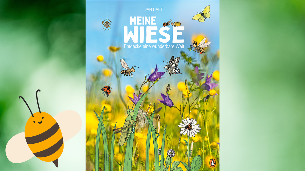 "Meine Wiese - Entdecke eine wunderbare Welt" von Jan Haft