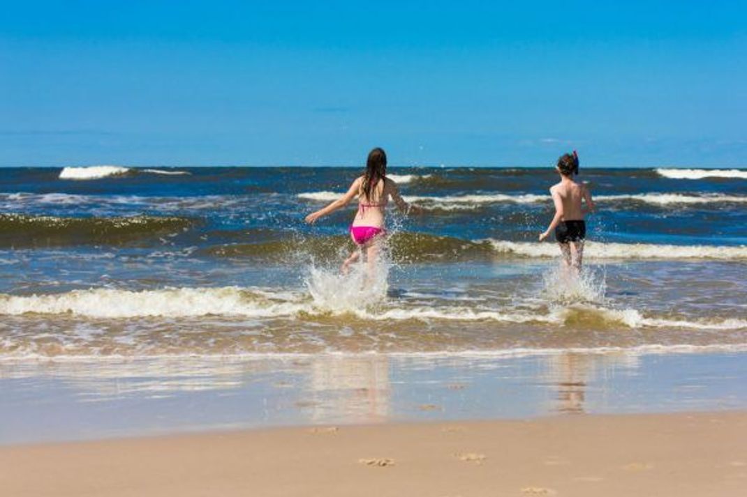 Ab 20 Grad Wassertemperatur können sich Vibrionen im Meer schnell vermehren.