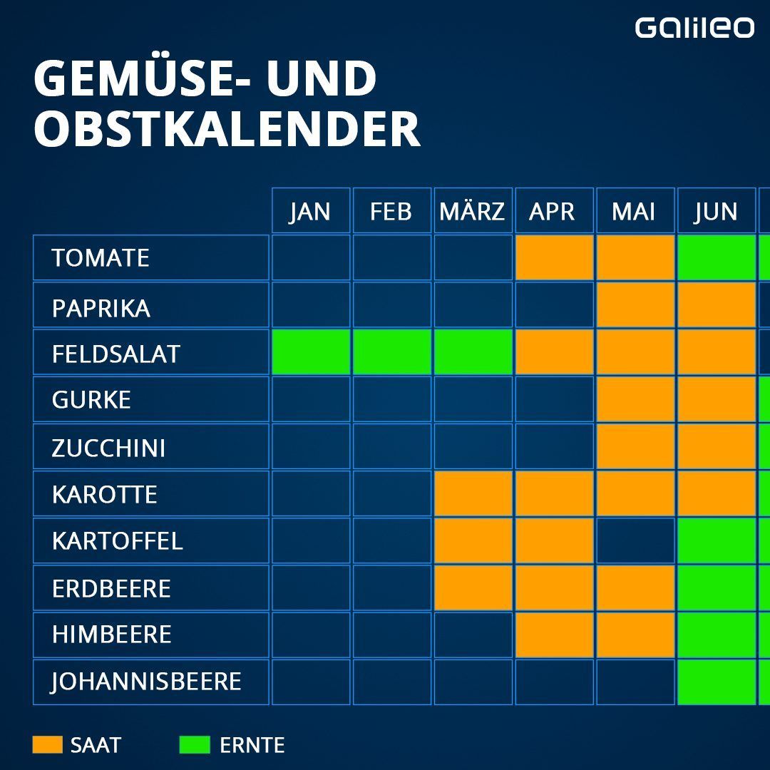 Saisonkalender für die Aussaat und Ernte von Obst und Gemüse.