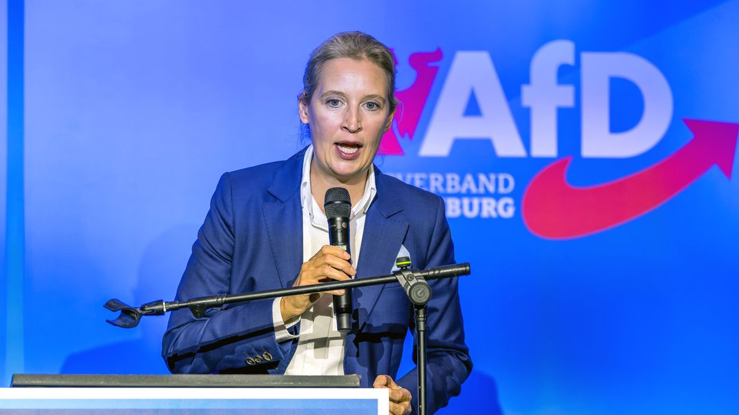 AfD-Co-Chefin Weidel wird Berichten zufolge ihre Partei in den Wahlkampf führen.