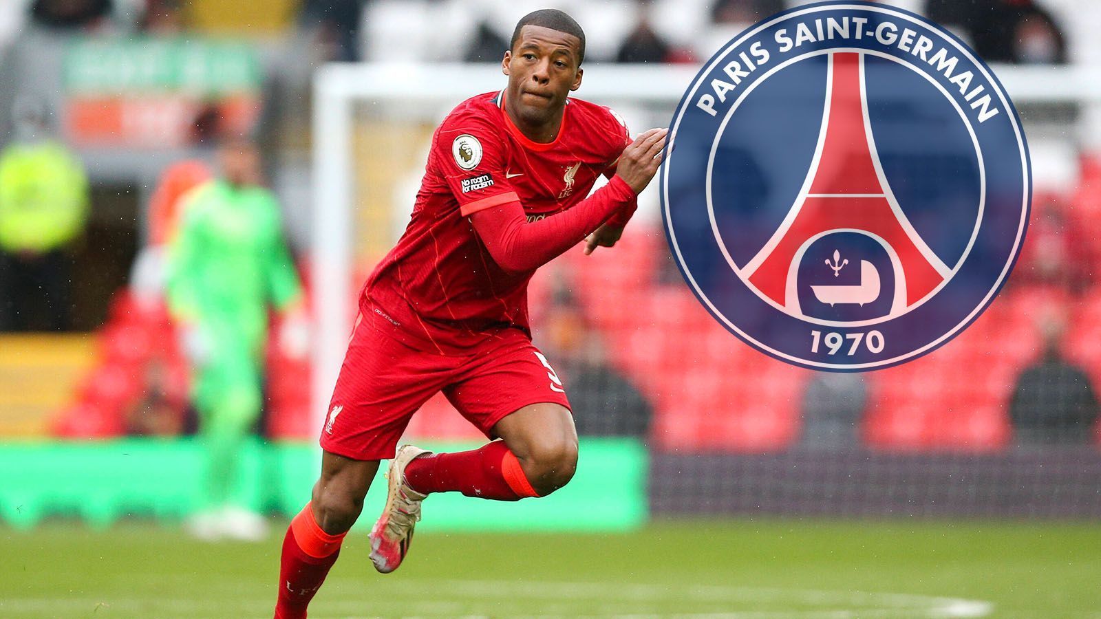 
                <strong>Georginio Wijnaldum (Paris Saint-Germain)</strong><br>
                Neuer Klub für den ehemaligen Profi des FC Liverpool. Wie am Donnerstag bekannt wurde, unterschrieb Wijnaldum bei Paris Saint-Germain. Der niederländische Nationalspieler unterschrieb beim französischen Hauptstadtklub einen Vertrag bis 2024. Zuvor verhandelte Wijnaldum, laut Berichten, auch mit dem FC Barcelona und dem FC Bayern. Mit den Katalanen war sich der Mittelfeldspieler offenbar bereits einig, doch dann grätschte PSG dazwischen und sicherte sich nun Wijnaldums Dienste. Im Vereinsstatement zu seiner Verpflichtung spricht der Neuzugang von einer "neuen Herausforderung". 
              