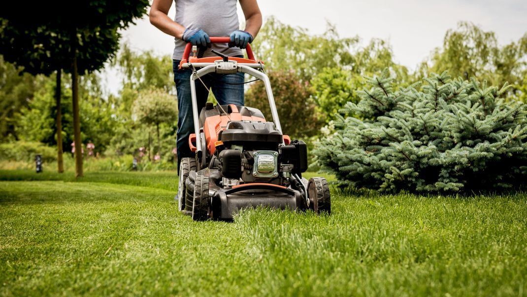 Sonn- und Feiertage verbringst du am liebsten im Garten? Diese Arbeiten sind da erlaubt.