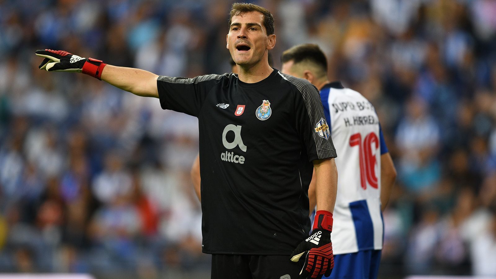 
                <strong>Tor - Iker Casillas</strong><br>
                Mit der spanischen Torwart-Ikone Iker Casillas spielte Fabregas ausschließlich in der Nationalmannschaft zusammen und das Duo feierte die größten Erfolge der Iberer auch gemeinsam: Europameister 2008 und 2012, Weltmeister 2010. Derzeit kickt Oldie Casillas mit 37 Jahren immer noch beim FC Porto, nachdem er bei Real Madrid aussortiert wurde.
              