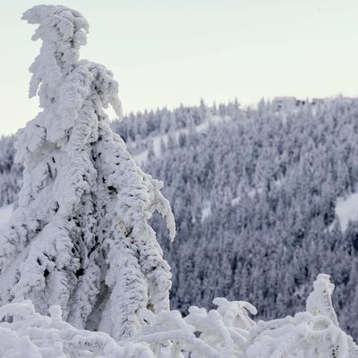 Erzgebirge Schnee