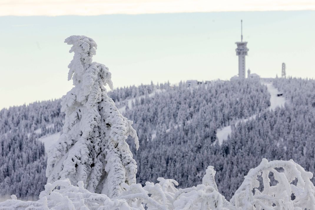 Bewohner:innen des Erzgebirges dürfen sich auf viel Neuschnee einstellen. (Symbolbild)