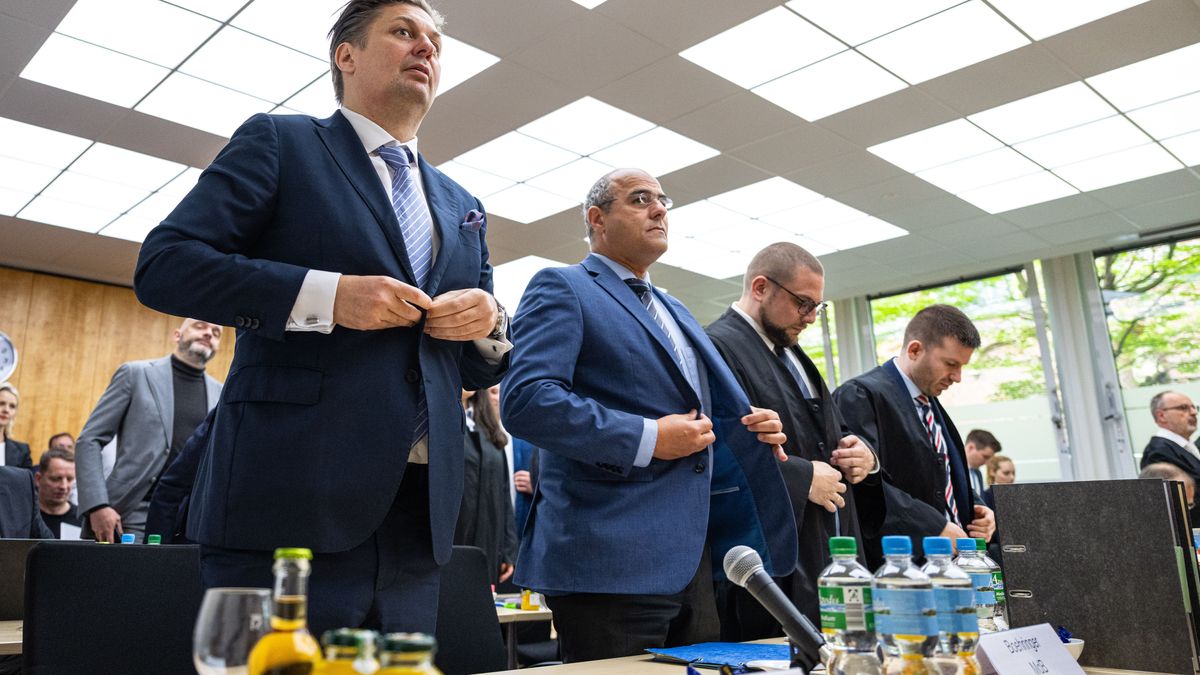 Im Berufungsverfahren um den Streit der Einstufung der AfD durch den Verfassungsschutz, stehen die AfD-Politiker Maximilian Krah und Peter Boehringer vor dem Gericht in Münster.