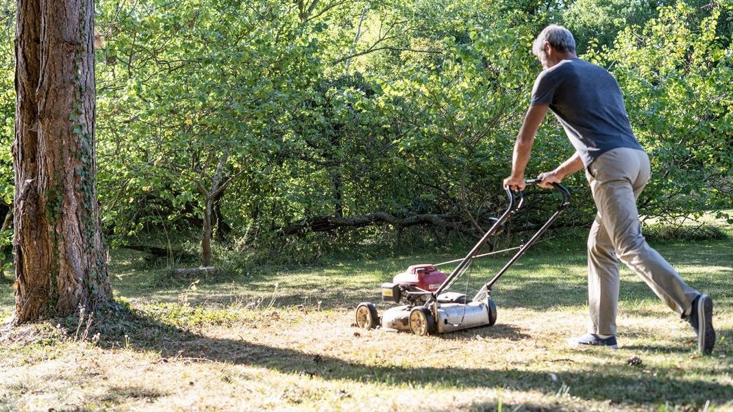 Endlich Zeit zum Putzen und für die Gartenarbeit? Was sonntags tatsächlich erlaubt ist, verraten wir dir!