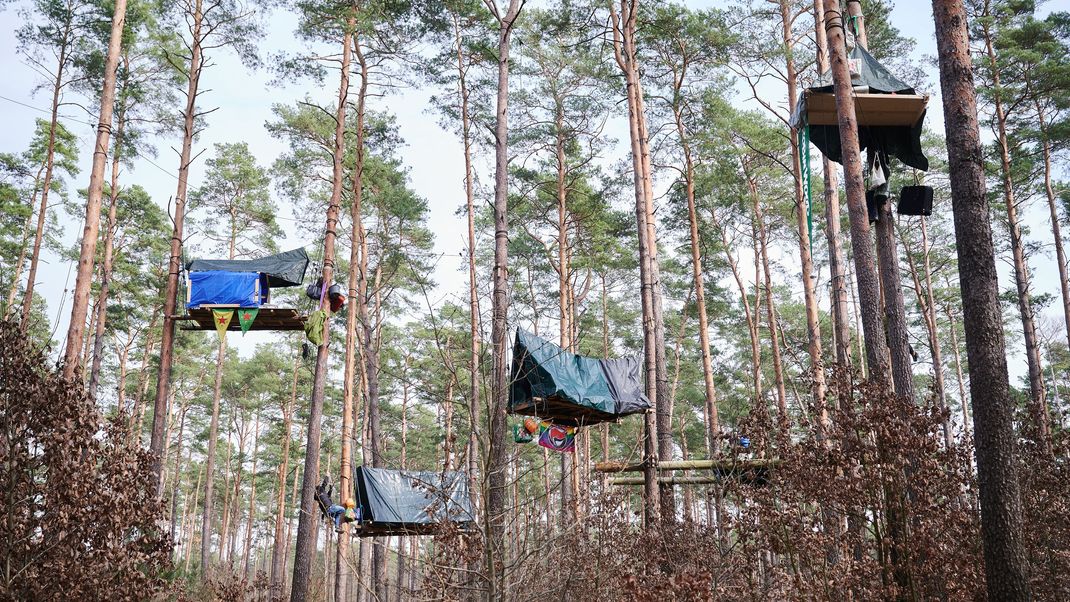 Umweltaktivisten der Initiative "Tesla Stoppen" besetzen ein Waldstück in der Nähe des Tesla-Werks in Grünheide. 