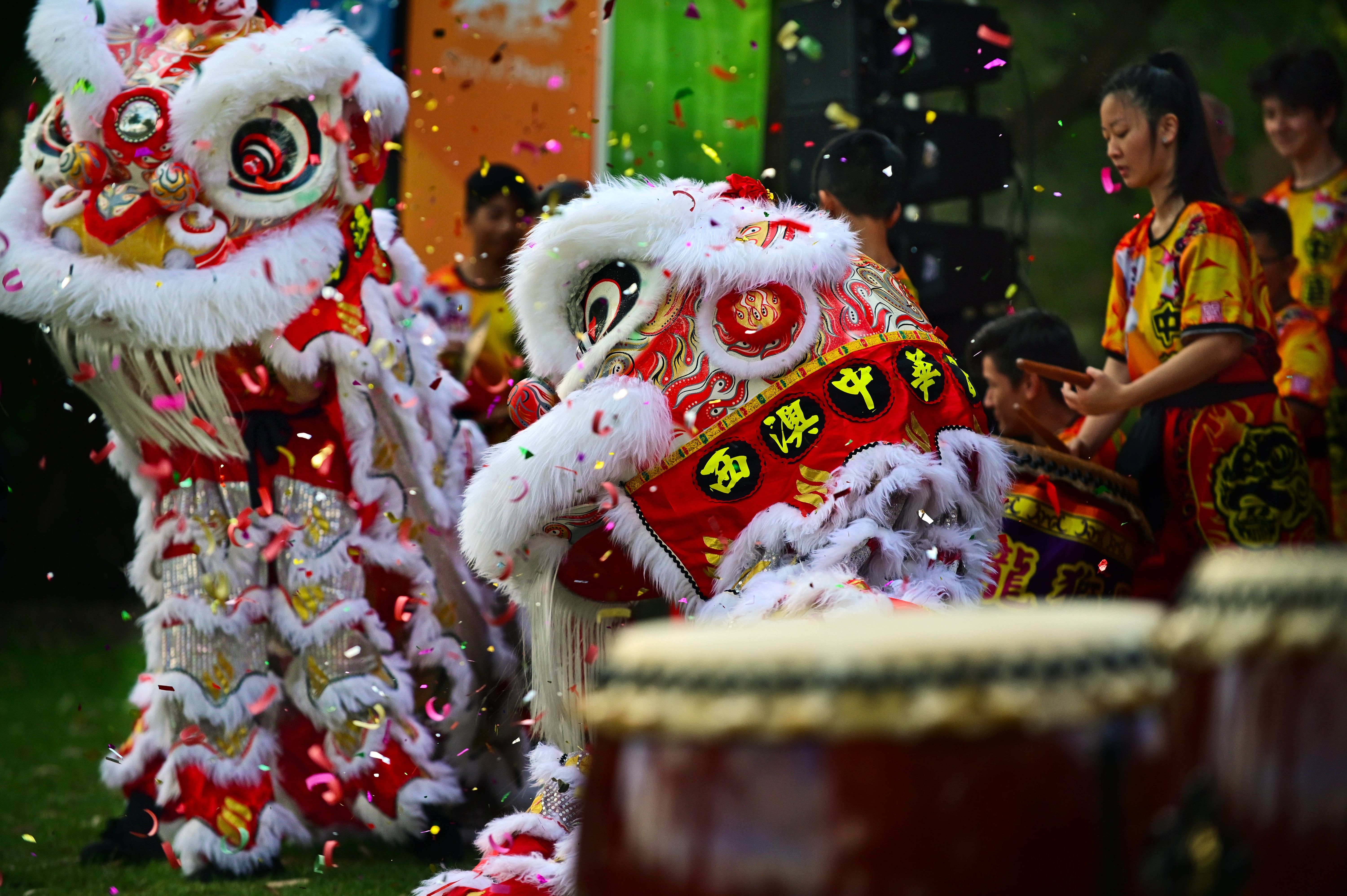 Löwentanz, der traditionell immer als Teil des Chinese New Year aufgeführt wird