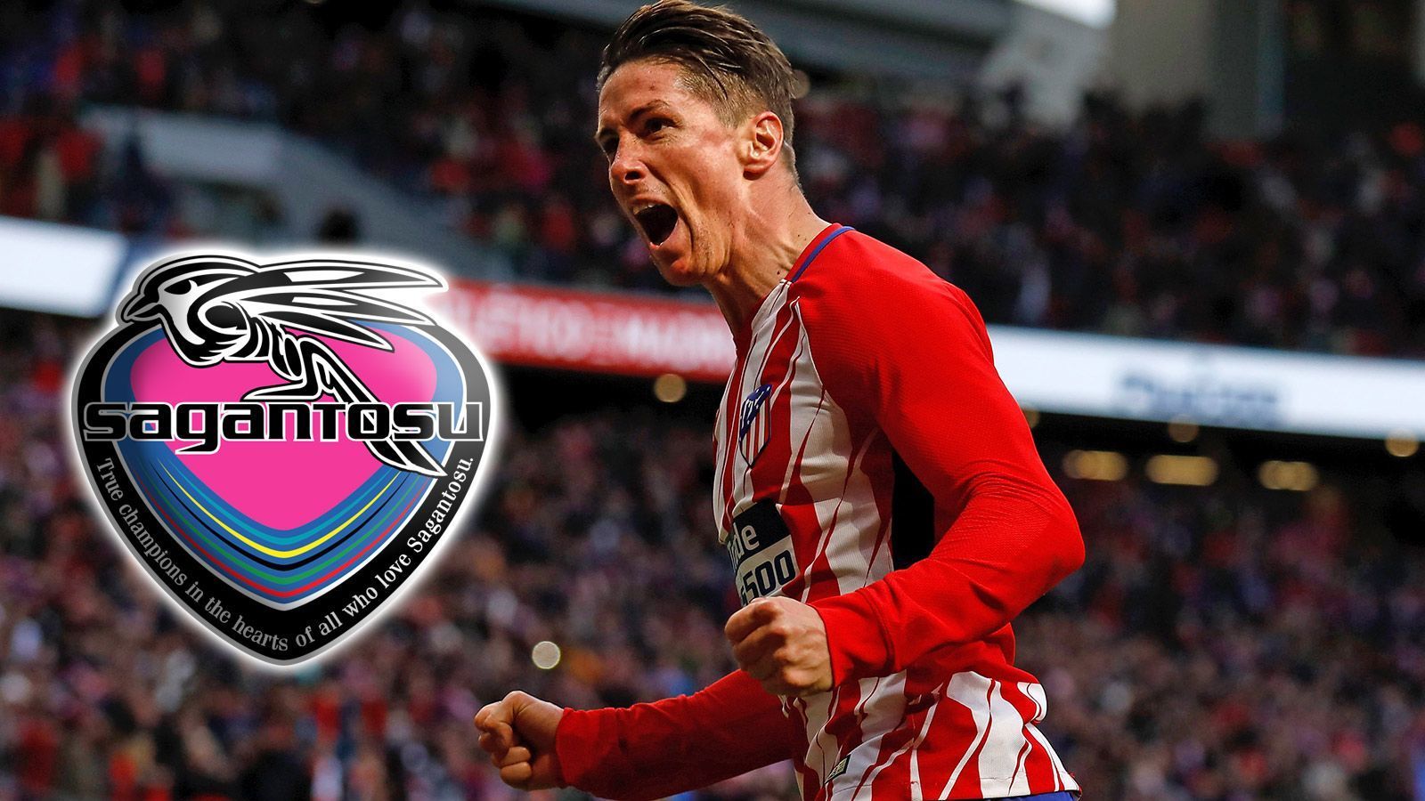 
                <strong>Fernando Torres (Zugang Sagan Tosu)</strong><br>
                Der japanische Erstligist Sagan Tosu hat Spaniens Fußball-Star Fernando Torres unter Vertrag genommen. Der Vertrag des 34-jährigen Stürmers beim spanischen Europa-League-Sieger Atletico Madrid lief am 30. Juni aus. "Sagan Tosu war einer der ersten Klubs, die sich für mich interessierten. Sie haben mich mit dem sportlichen und lebendigen Projekt überzeugt", sagte Torres. Nach eigener Aussage hatte der Weltmeister von 2010 Angebote von allen Kontinenten. "Ich hatte Angebote aus Frankreich, Deutschland, sogar eine Option aus Spanien, aber ich dachte zu keiner Zeit daran, zu einem europäischen Team zu gehen. Ich wollte eine neue Herausforderung an einem ganz anderen Ort", so Torres.
              