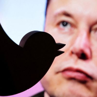 Twitter Elon Musk