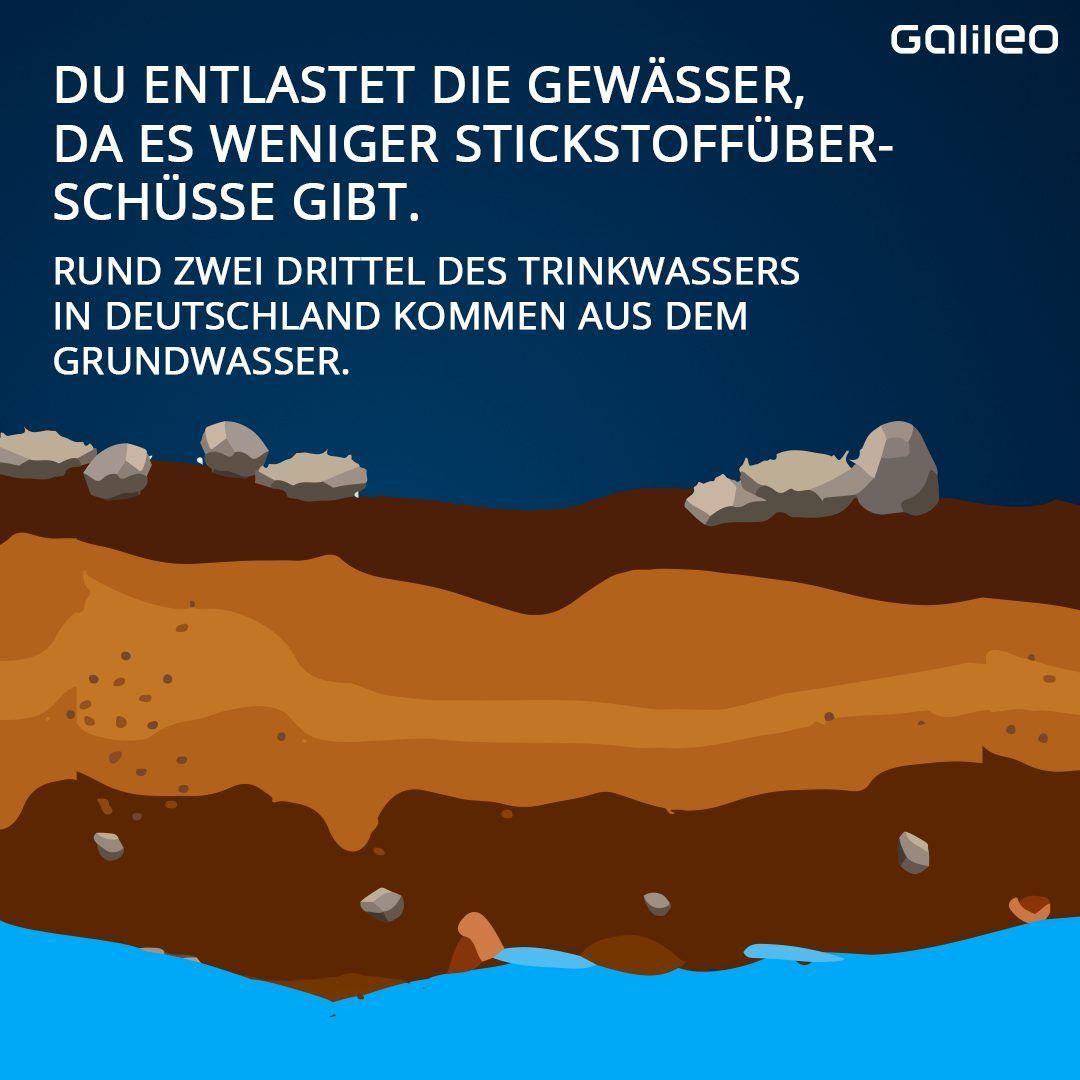 Viehhaltung beeinflusst unsere Trinkwasserqualität.