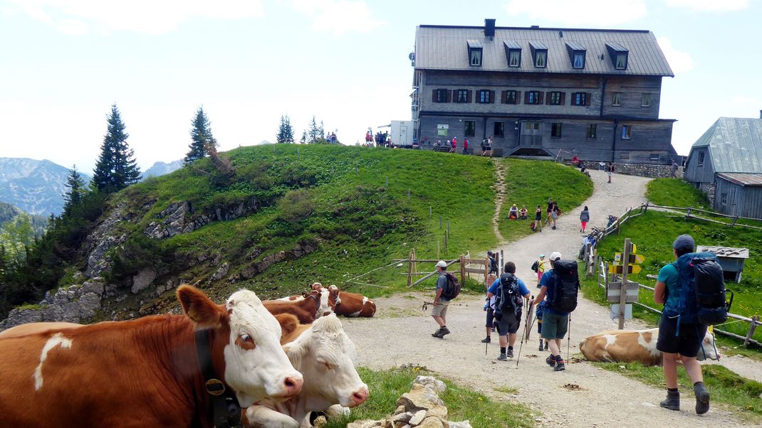 Wanderwege führen zum Rotwandhaus des Deutschen Alpenvereins (DAV) im Mangfallgebirge. 