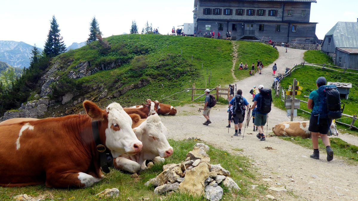 Wanderwege führen zum Rotwandhaus des Deutschen Alpenvereins (DAV) im Mangfallgebirge. 