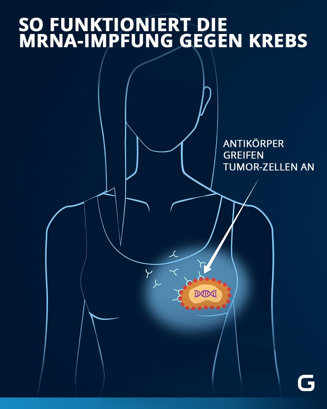 Wir zeigen, wie mRNA-Impfstoffe auch bei Krebspatient:innen wirken können. 