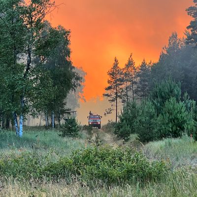 Lübtheen, Mecklenburg-Vorpommern: Lage der Waldbrände wohl stabil.